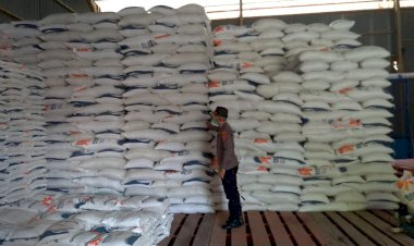 Kapolres-Alor-Cek-Stok-Beras-Di-Gudang-Bulog-Kalabahi