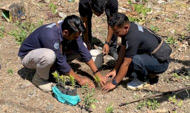 Dalam-Rangka-Menyambut-HUT-Humas-Polri-Ke-72,-Humas-Polres-Alor-Melaksanakan-Kegiatan-Penghijauan