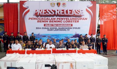 Konferensi-Pers-Penyeludupan-Benih-Bening-Lobster-Sebanyak-237.305-Benih-Bening-Lobster-Senilai-23,6-Miliar-Rupiah