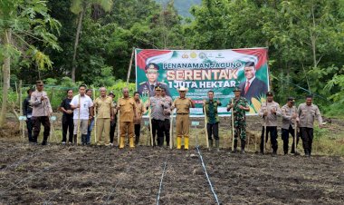 Polres-Alor-Dukung-Program-Ketahanan-Pangan-Melalui-Penanaman-Jagung-di-Desa-Petleng