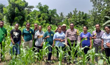 Bhabinkamtibmas-Desa-Petleng-Lakukan-Pengecekan-Pertumbuhan-Tanaman-Jagung