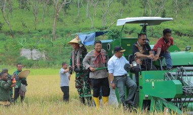 Kapolres-Alor-Hadiri-Panen-Raya-Padi-Bersama-Bupati-Alor-di-Desa-Tanglapui