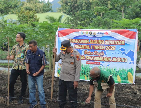 Dukung Program Swasembada Pangan, Polres Alor Laksanakan Tanam Jagung Serentak Kuartal I