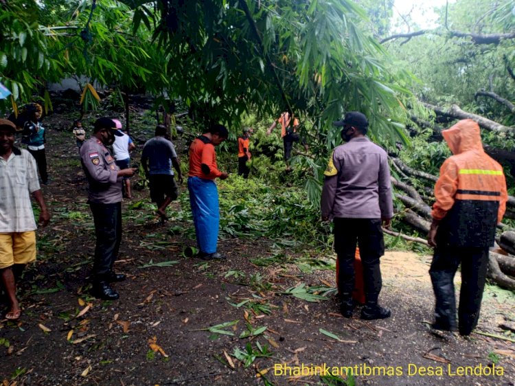 Personel Polres Alor Bantu Evakuasi Pohon Tumbang dan Tanah Longsong