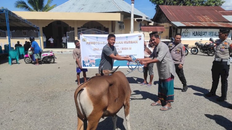 Sambut Hari Idul Adha 2024, Polres Alor Sumbangkan 7 Ekor Sapi