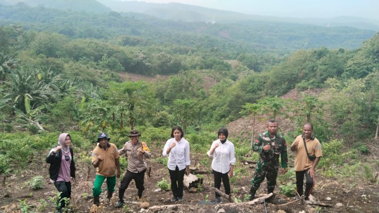 Kapolsek Pantar Hadiri Penanaman Bibit Jagung Hibrida di Desa Baolang untuk Dukung Swasembada Pangan