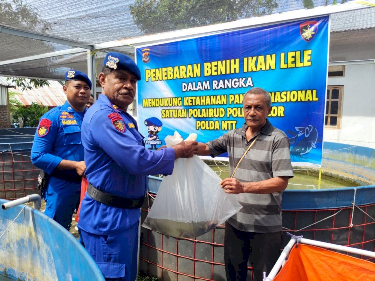 Penebaran Benih Ikan Lele, Satuan Polairud Polres Alor Dukung Ketahanan Pangan Nasional