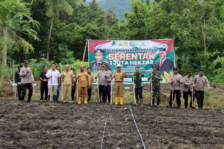 Polres Alor Dukung Program Ketahanan Pangan Melalui Penanaman Jagung di Desa Petleng