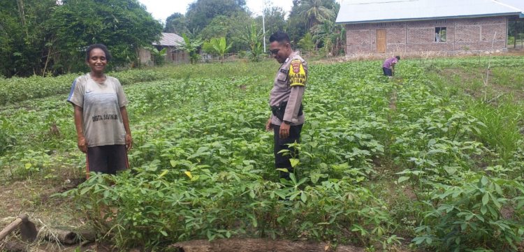 Bhabinkamtibmas Desa Petleng Sambangi Kebun Sayur dalam Rangka Dukung Ketahanan Pangan