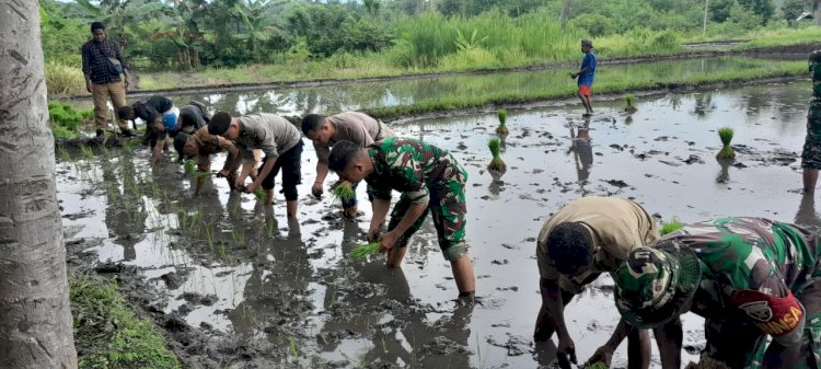 Personel Polsek Abad, TNI dan Kadis Pertanian Hadiri Penanaman Padi di Desa Pailelang