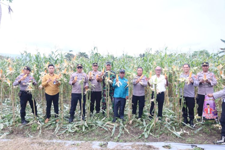 Polres Alor Dukung Panen Raya Perdana Jagung Serentak Nasional