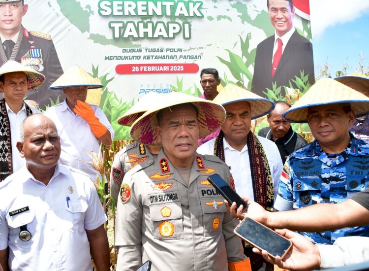 Polda NTT Panen Jagung Serentak Tahap I, Dukung Swasembada Pangan 2025