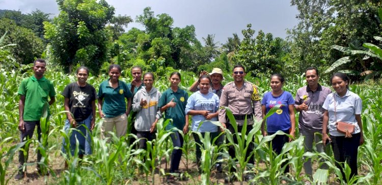 Bhabinkamtibmas Desa Petleng Lakukan Pengecekan Pertumbuhan Tanaman Jagung