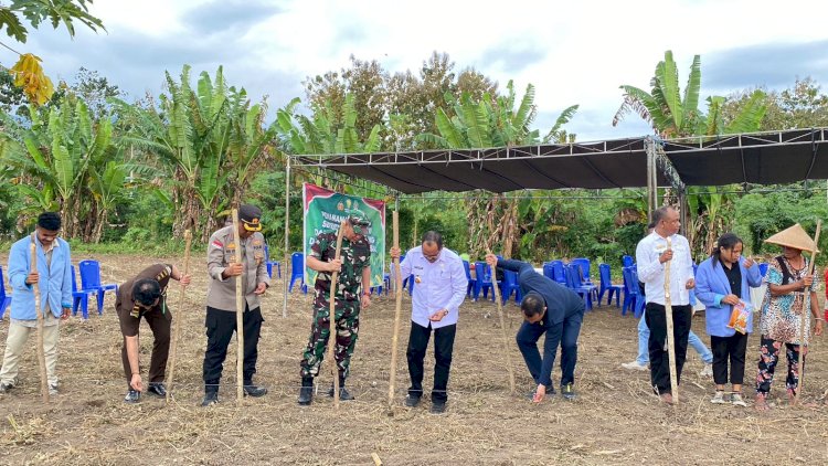 Polres Alor Turut Sukseskan Penanaman Jagung Serentak Kuartal III di Desa Pailelang
