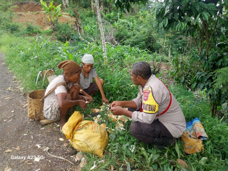 Bhabinkamtibmas Desa Welai Selatan Laksanakan Patroli dan Sambang Warga