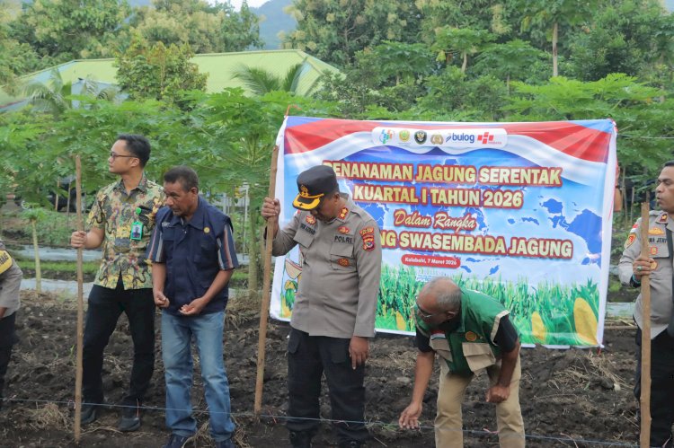 Dukung Program Swasembada Pangan, Polres Alor Laksanakan Tanam Jagung Serentak Kuartal I