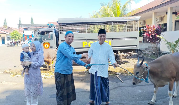 Polres Alor Sembelih 6 Ekor Sapi Kurban pada Hari Raya Idul Adha 1447 H, Daging Dibagikan kepada 700 Jiwa