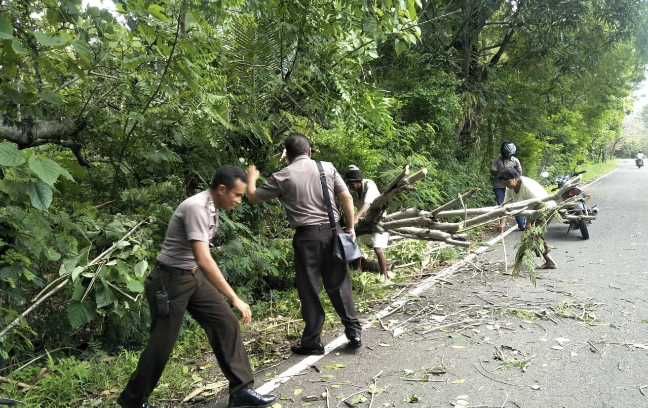 Bersihkan Pohon Tumbang, Polsek Alor Tengah Utara (ATU) Bersama Warga Lakukan Gotong royong